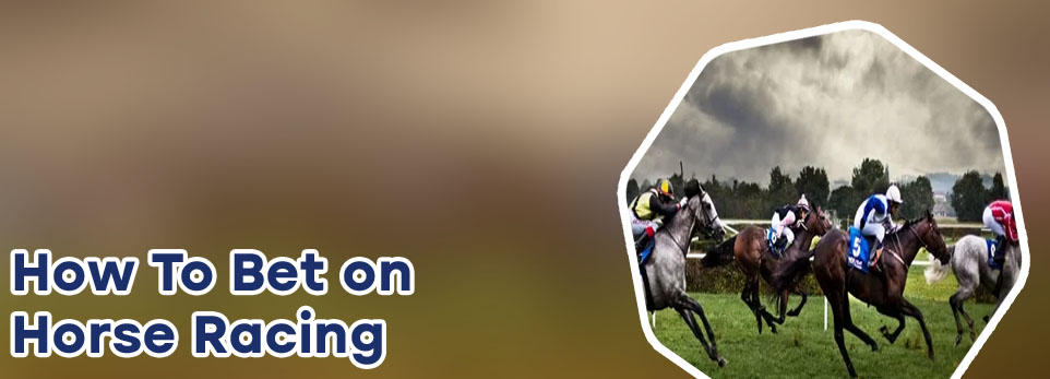 Online horse betting
